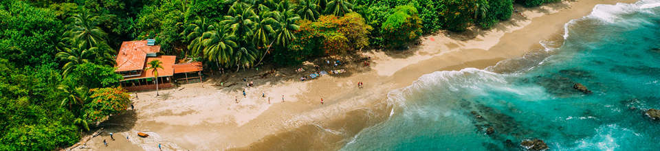 Una costa tropical vista desde arriba, con una playa de arena y exuberantes palmeras.